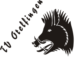 Logo TV Otelfingen